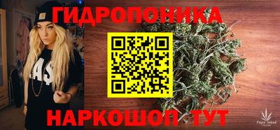 гашик Кулебаки