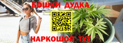 гашик Кулебаки