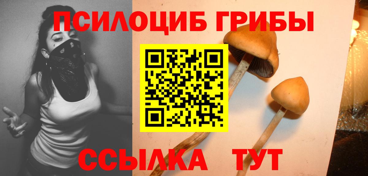 Псилоцибиновые грибы Magic Shrooms Каменка
